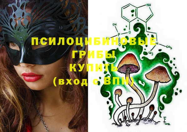 apvp Лихославль
