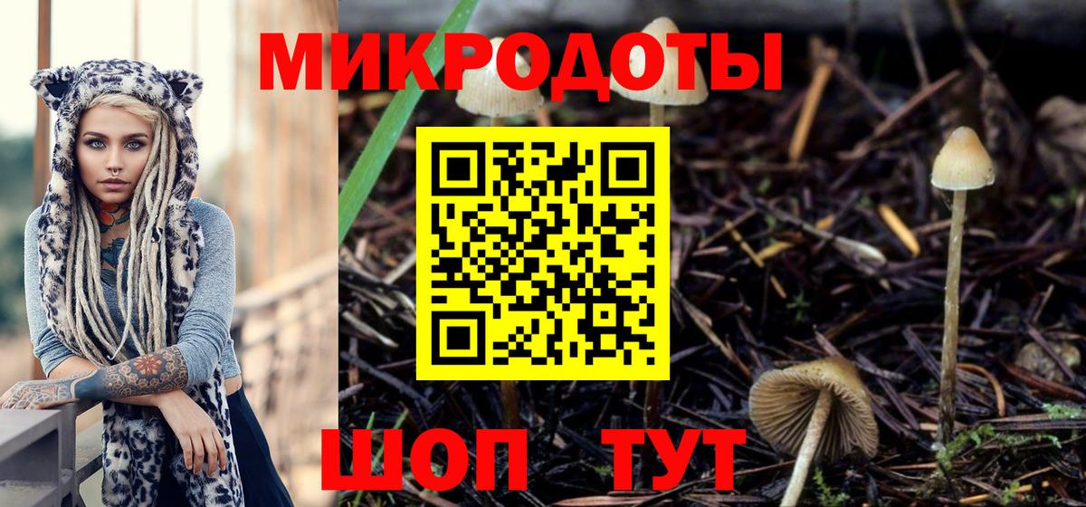 Галлюциногенные грибы прущие грибы Балаково