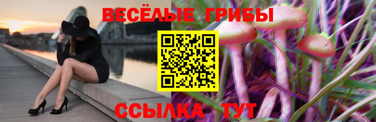 Балаково  Галлюциногенные грибы ЛСД  Вход с VPN 